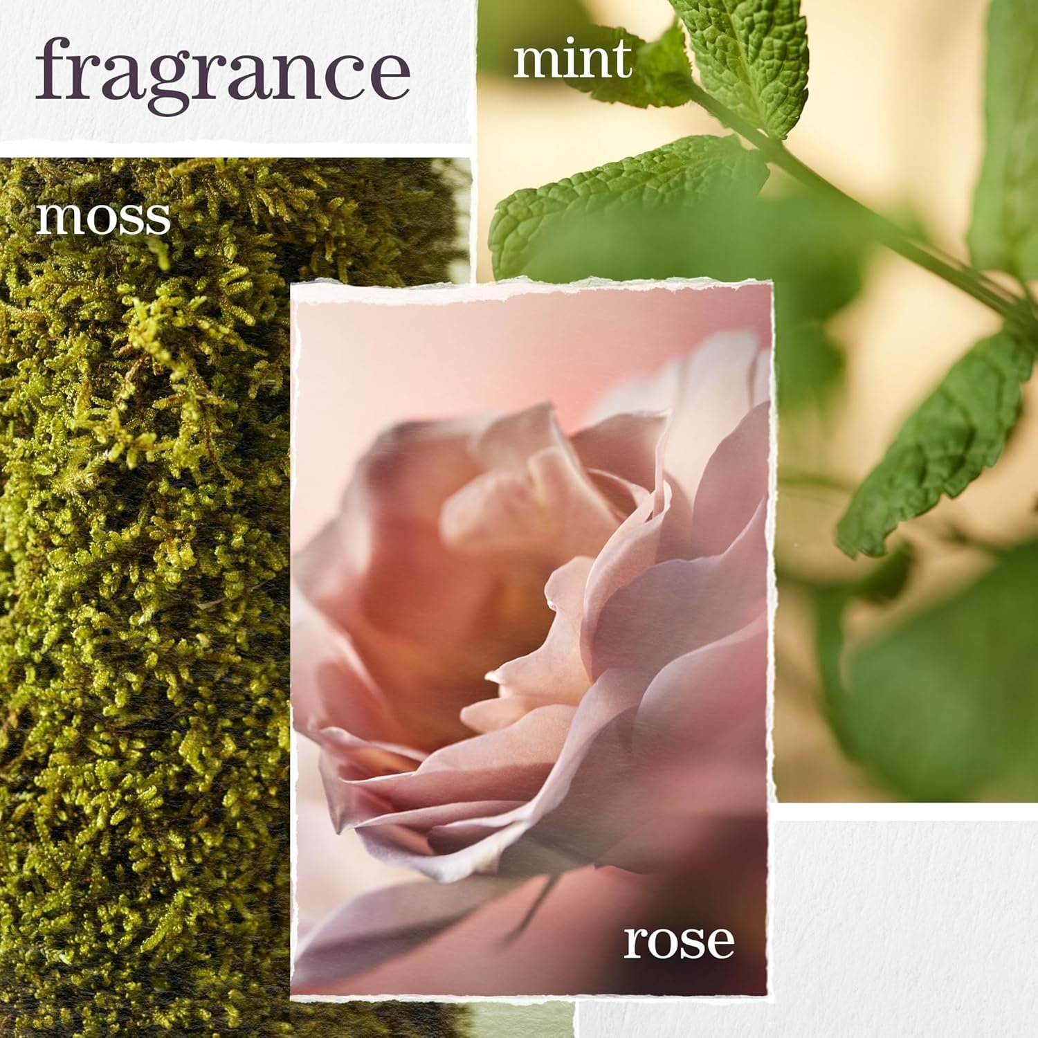 Pureology Hydrate Conditioner - For Dry or Color Treated Hair